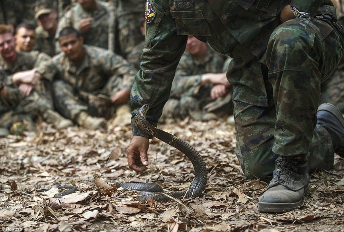 Bijapur : Two Cobra commando injured in the encounter