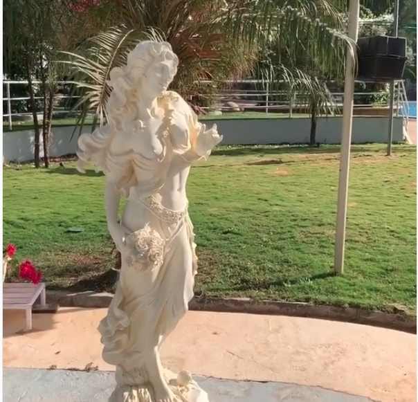 dharmendra share his farm house bungalow video on social media