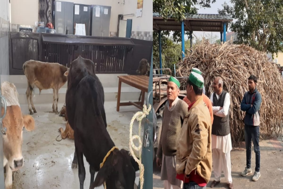 Bhakiyu protest at Tehsil against the lawsuit on farmers in Muzaffarnagar