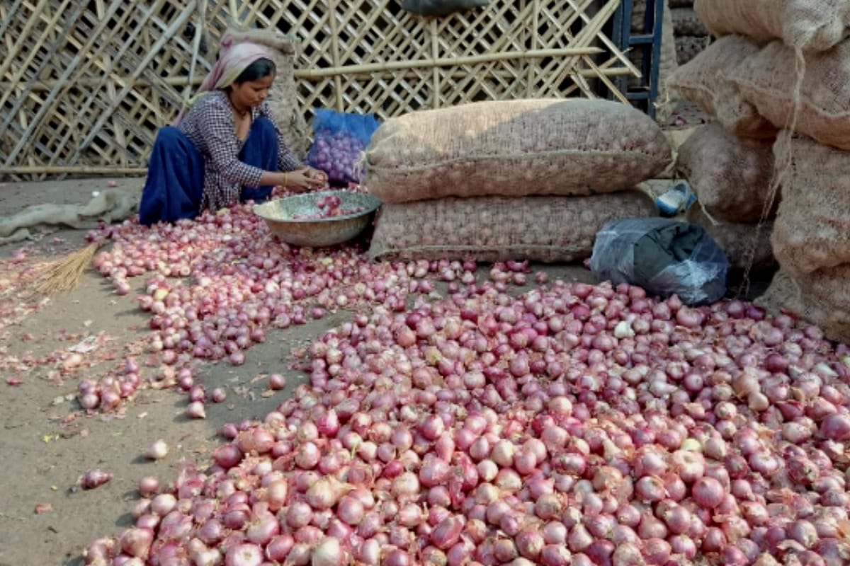 Onion Crisis in Haryana