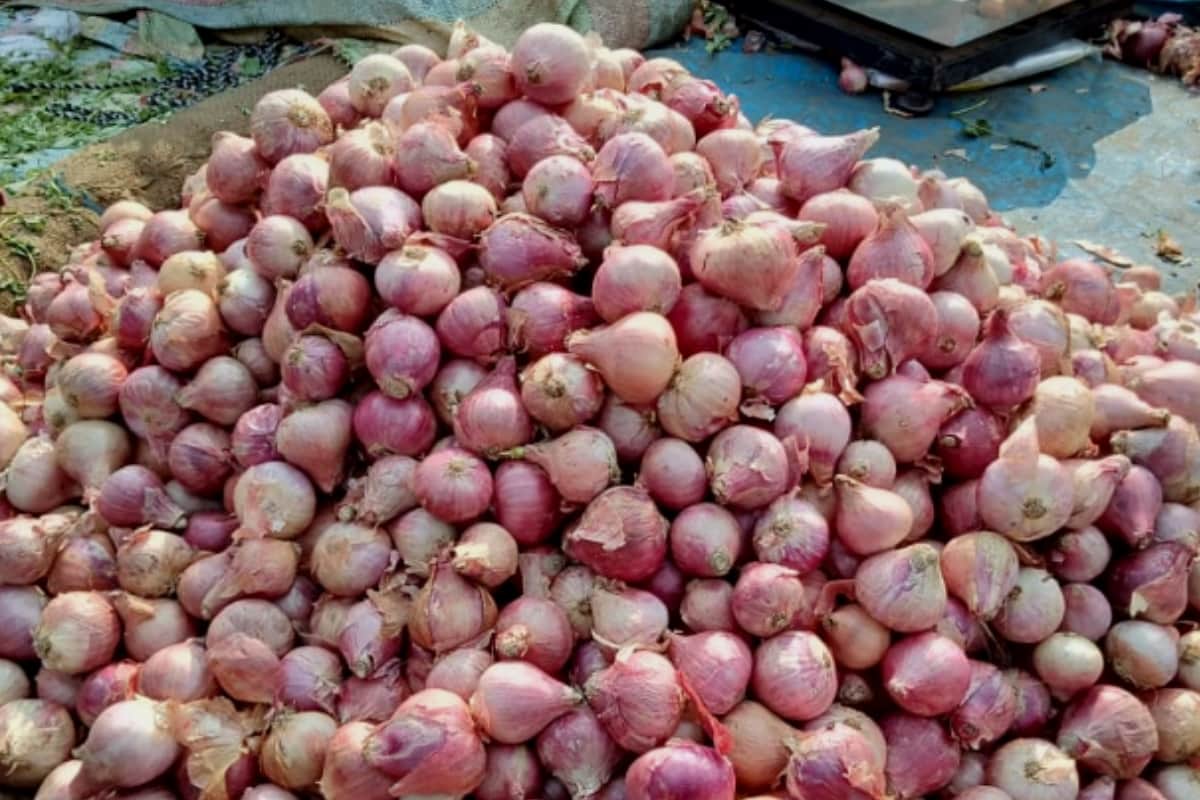 after potato now Onion sold in Wholesale market price 40 rupees kg in gorakhpur