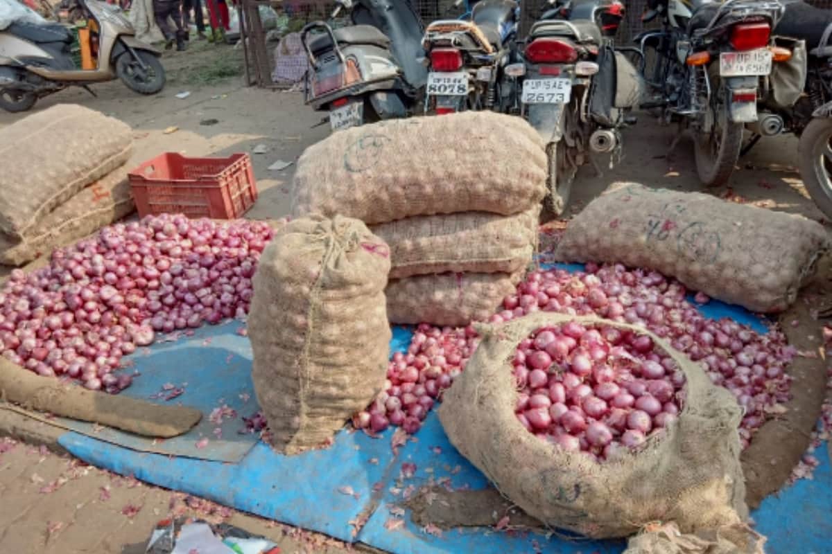 Onion sold in Wholesale market price 25 rupees kg in gorakhpur