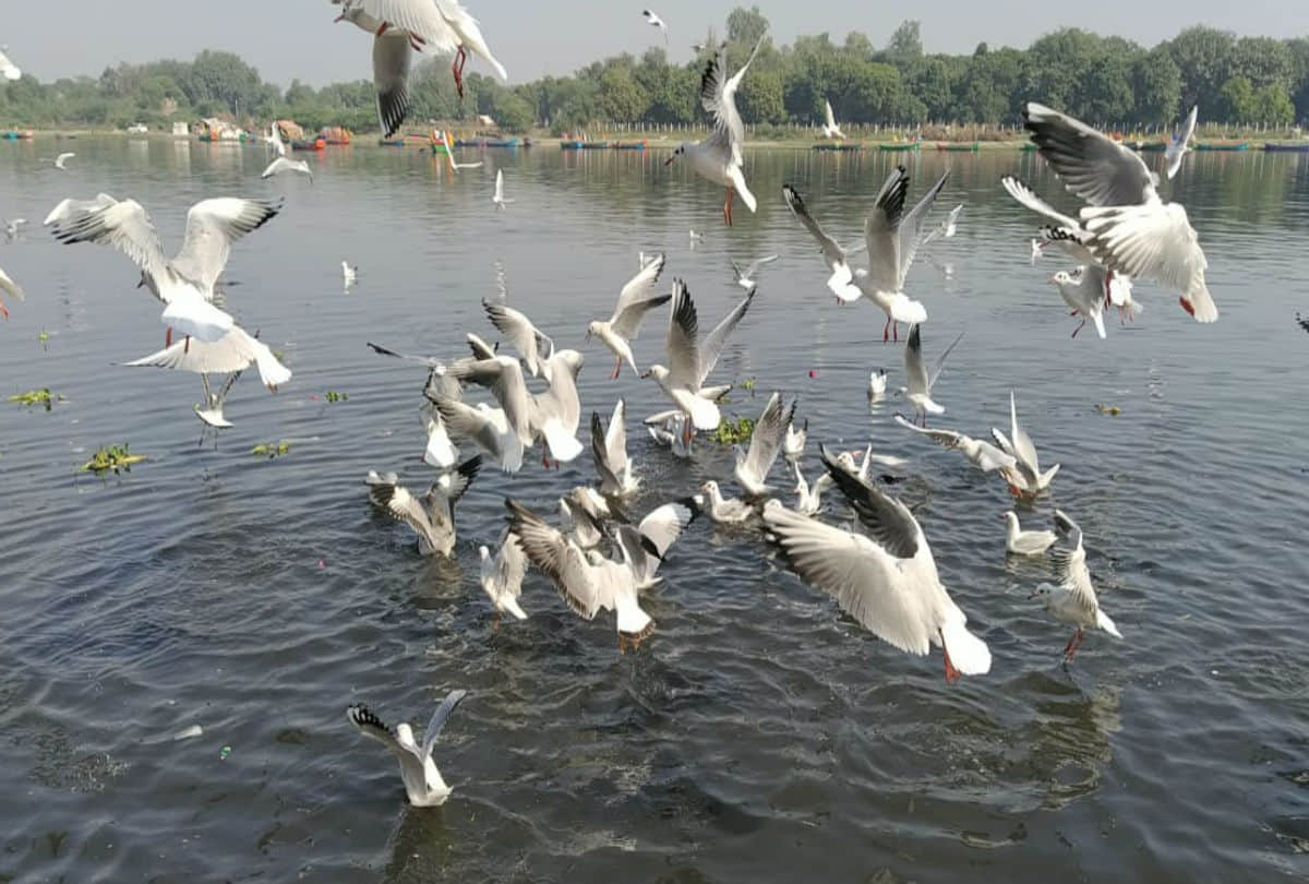 best tourist destination in December for celebrate Christmas and Happy New Year 2020