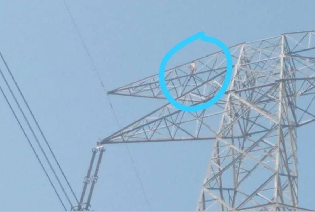 The young man climbed the electric tower to express love to the girl