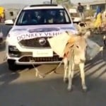 Donkey Pulls MG Hector SUV