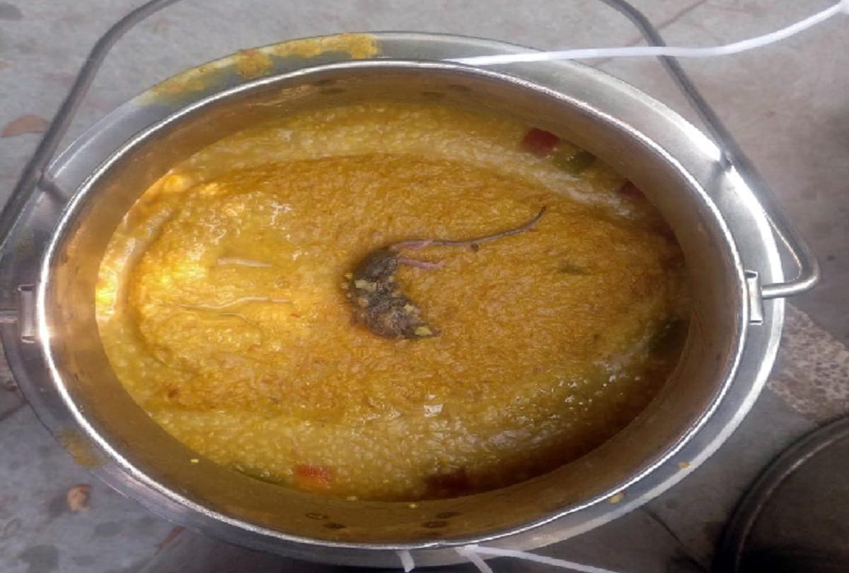 Dead rat in mid-day meal in delhi
