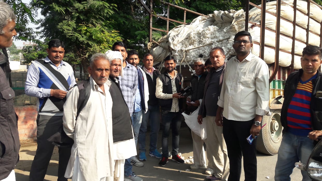 crop, purchase of cotton crop, farmers income growth, fatehabad