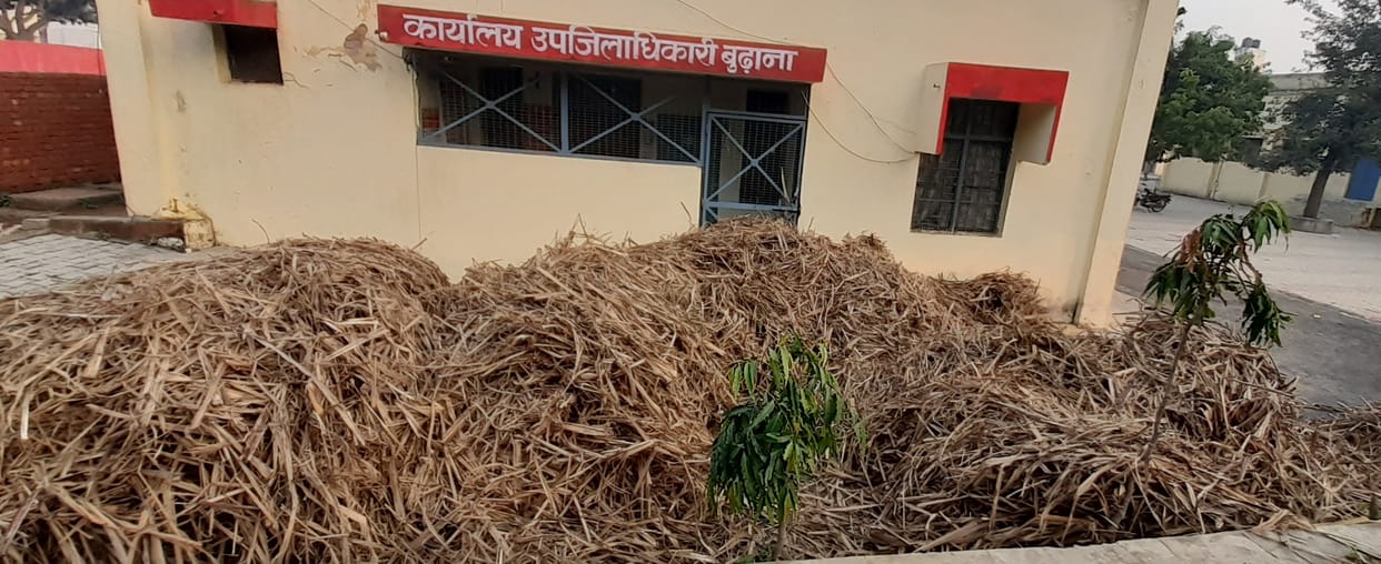 Farmers tied cow dynasty in tehsildar office