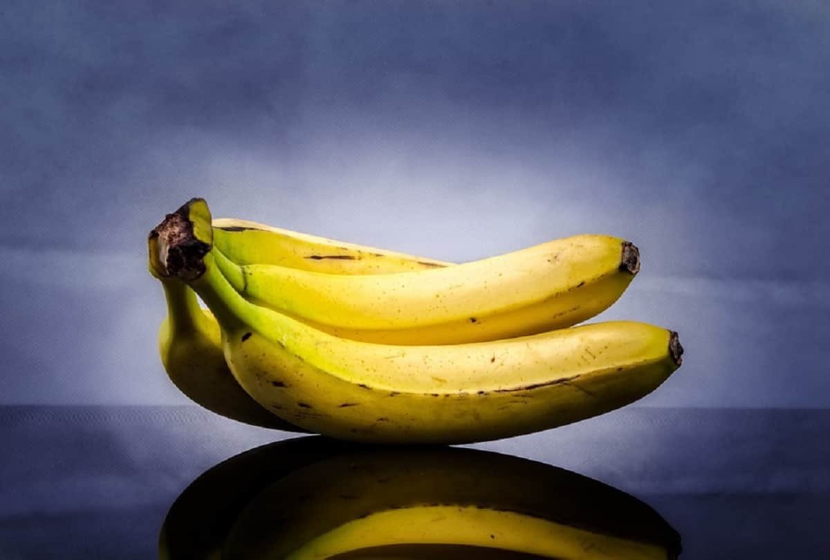 fruit diet plan which time is best to eat fruits