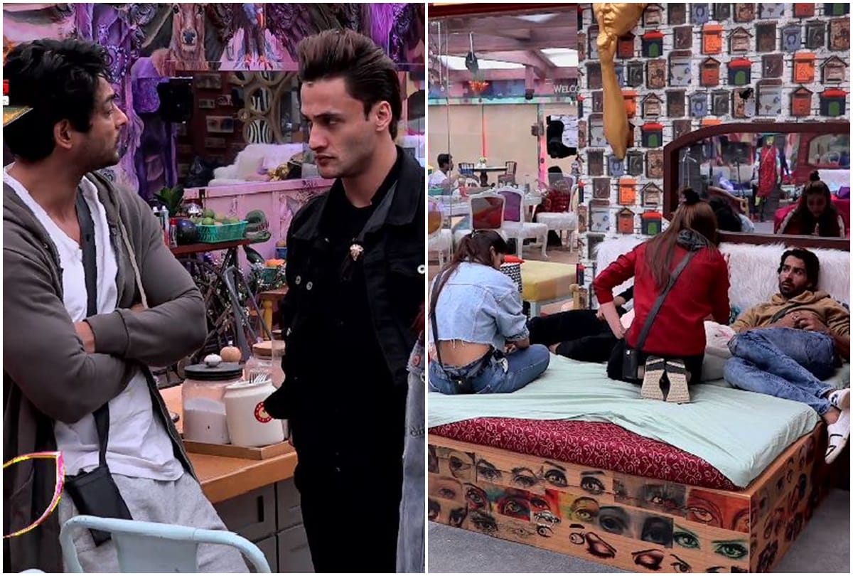 Bigg Boss 13 Shehnaz Gill And Hindustani Bhau Stuck in Ugly Fight And Himanshi Asim Romantic Moment