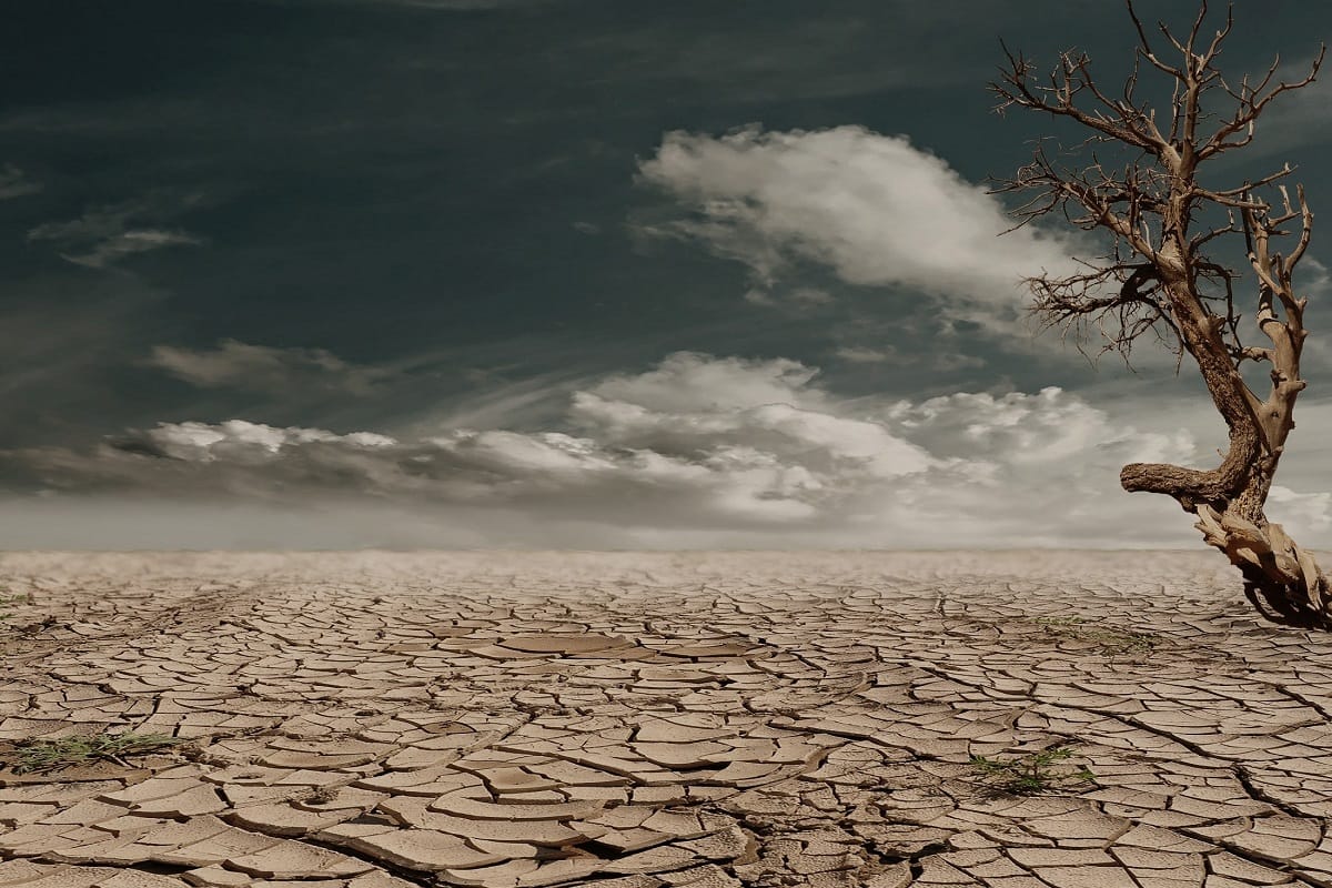 Earth becomes dangerous for children due to climate change