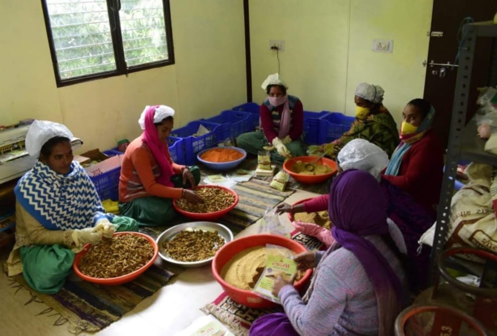 Boy Built Spices Business for women Self Employment after left Job from Mdh