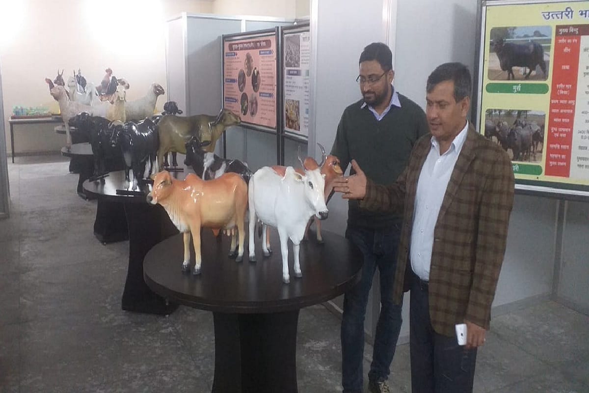 First LPM Museum of Western UP is being opened in Sardar Vallabhbhai Patel Agricultural University