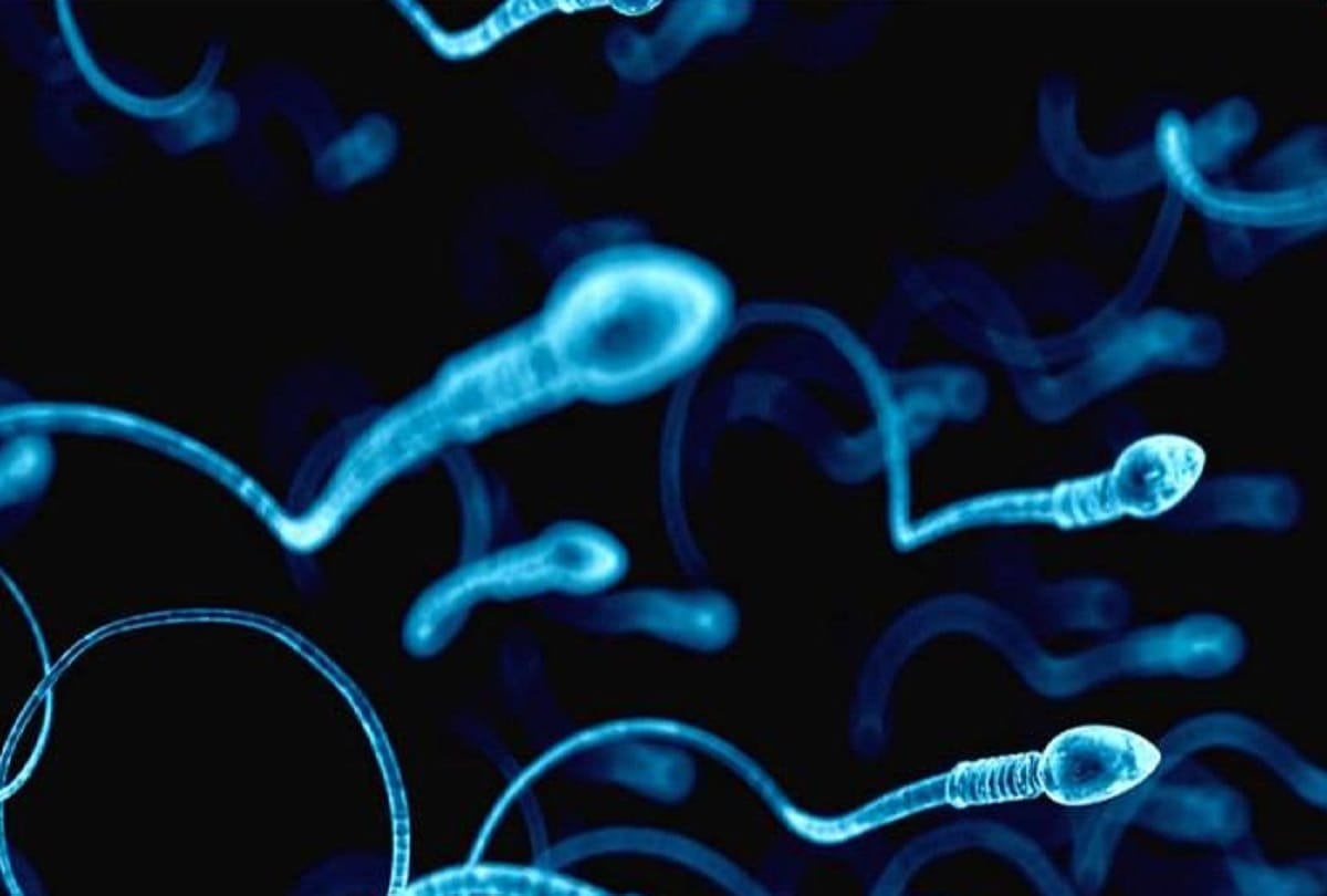 what is semen know interesting facts about sperm