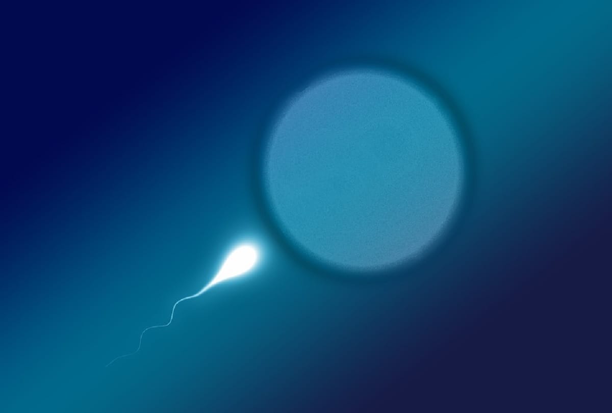 what is semen know interesting facts about sperm