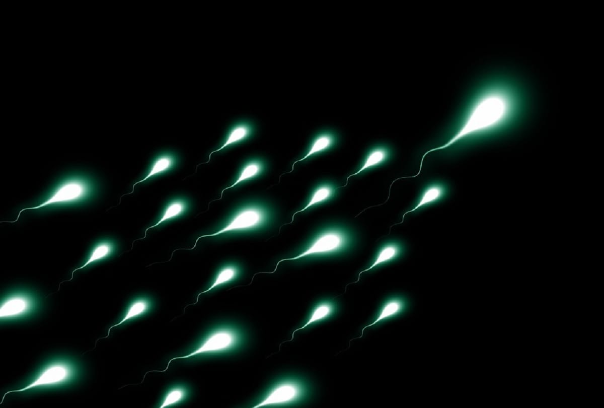 what is semen know interesting facts about sperm