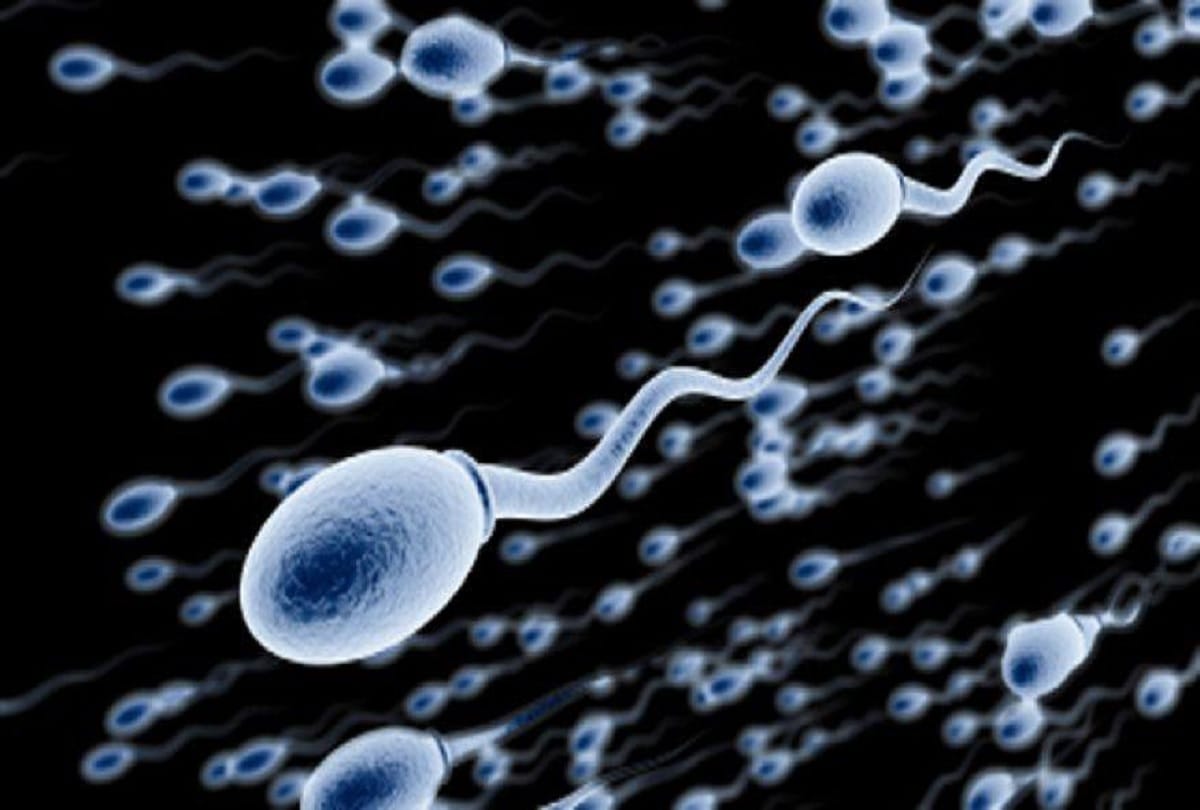 what is semen know interesting facts about sperm