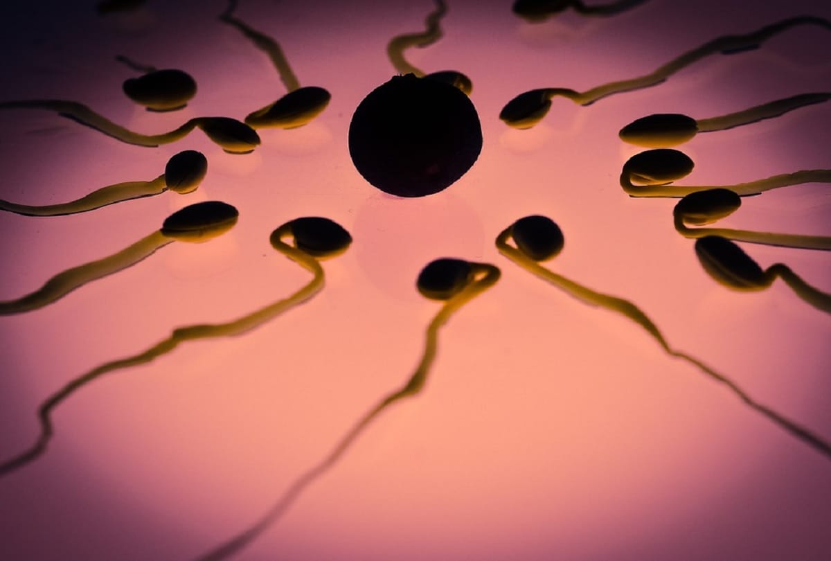 Research revealed that sperm of men weakened by coronavirus