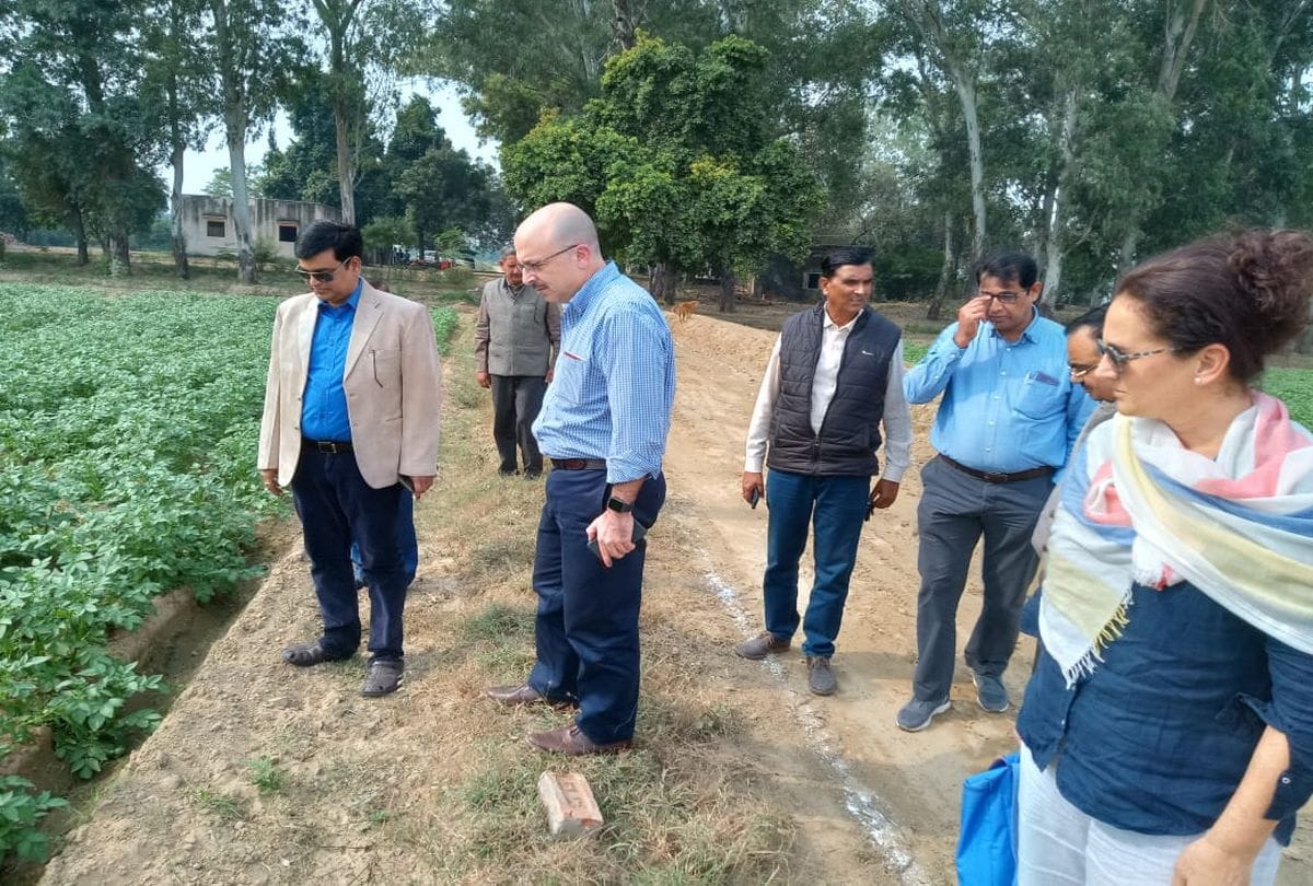 International Potato Center may be opened in agra