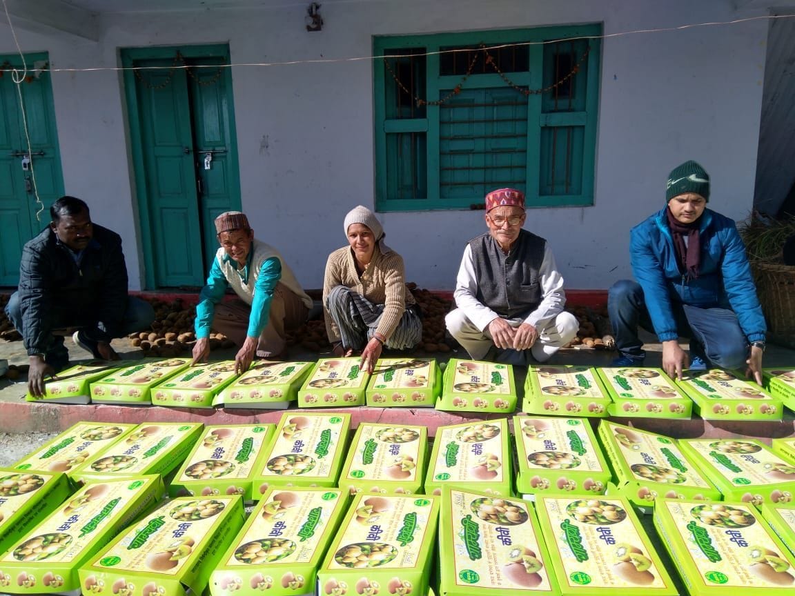 Now Kumaon kiwi will be available in Bareilly