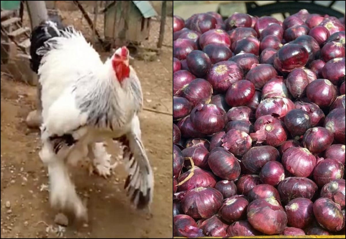 onion prices not stop to increasing in varanasi