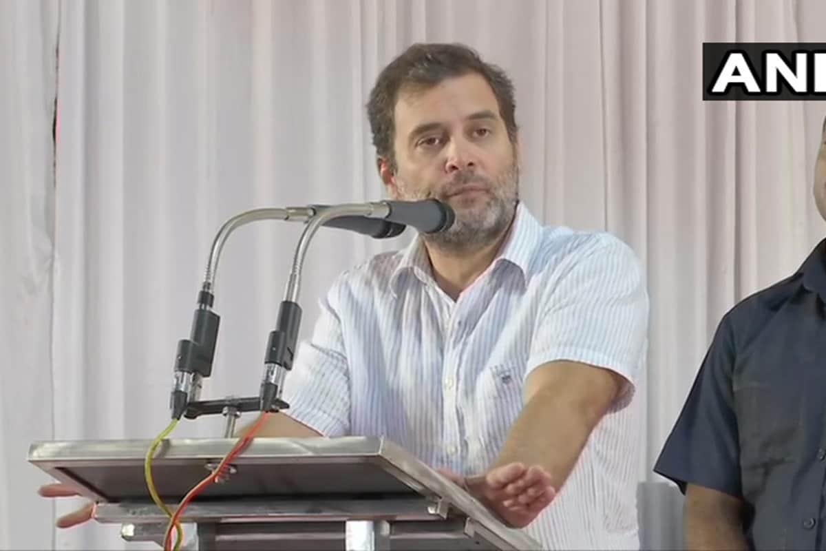 hansal mehta make fun of Congress leader Rahul Gandhi who protest at Rajghat against CAA 2019