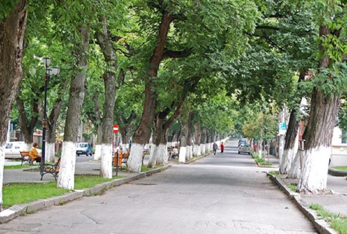 Why do people paint trees white and red know the Scientific reason about this