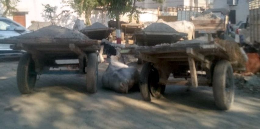 14 Buggies caught, eight arrested