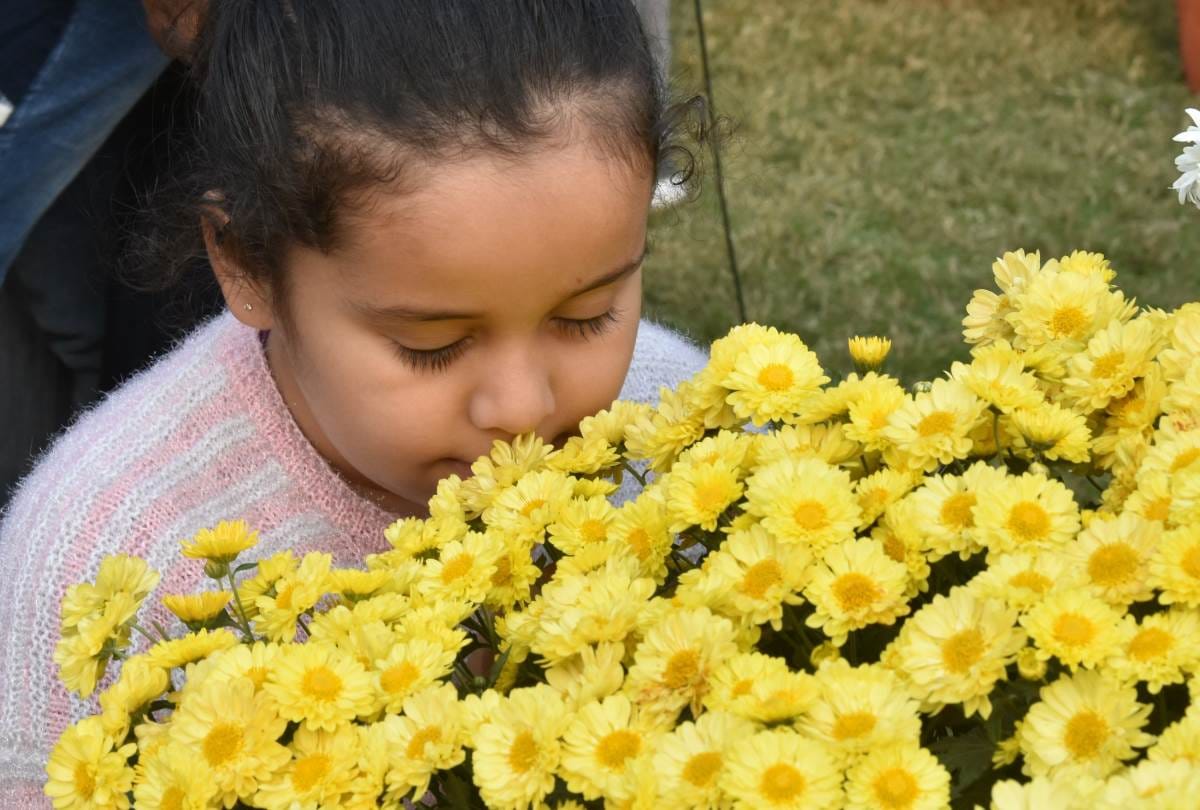 CSIR-NBRI organized two-day chrysanthemum-coleus flower exhibition.