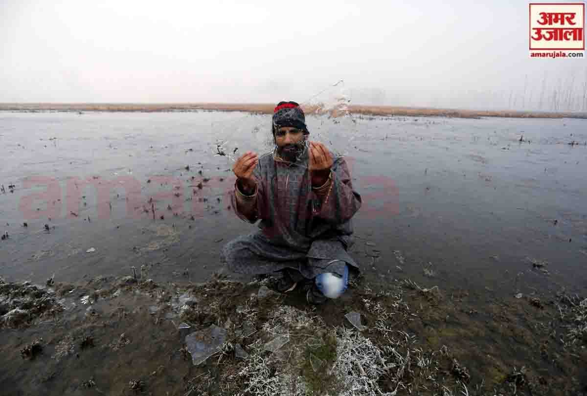 Severe winter in Jammu Kashmir and Ladakh, Jammu Kashmir weather
