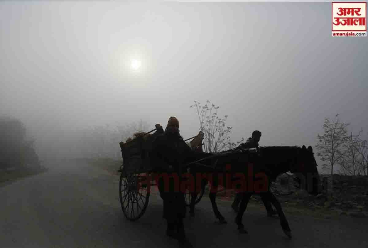 Severe winter in Jammu Kashmir and Ladakh, Jammu Kashmir weather