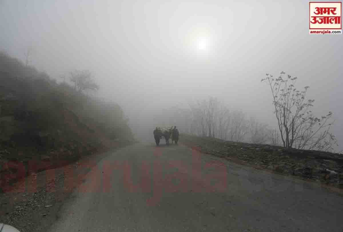 Severe winter in Jammu Kashmir and Ladakh, Jammu Kashmir weather