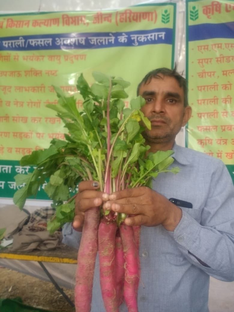 Demand for millet biscuits and snacks incresed