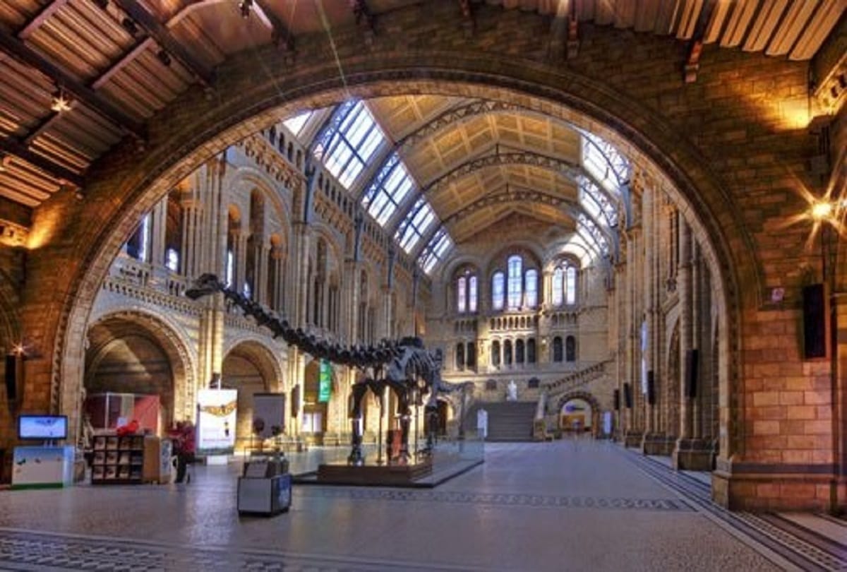 Museum of London Archaeology where kept very strange kind of treasure