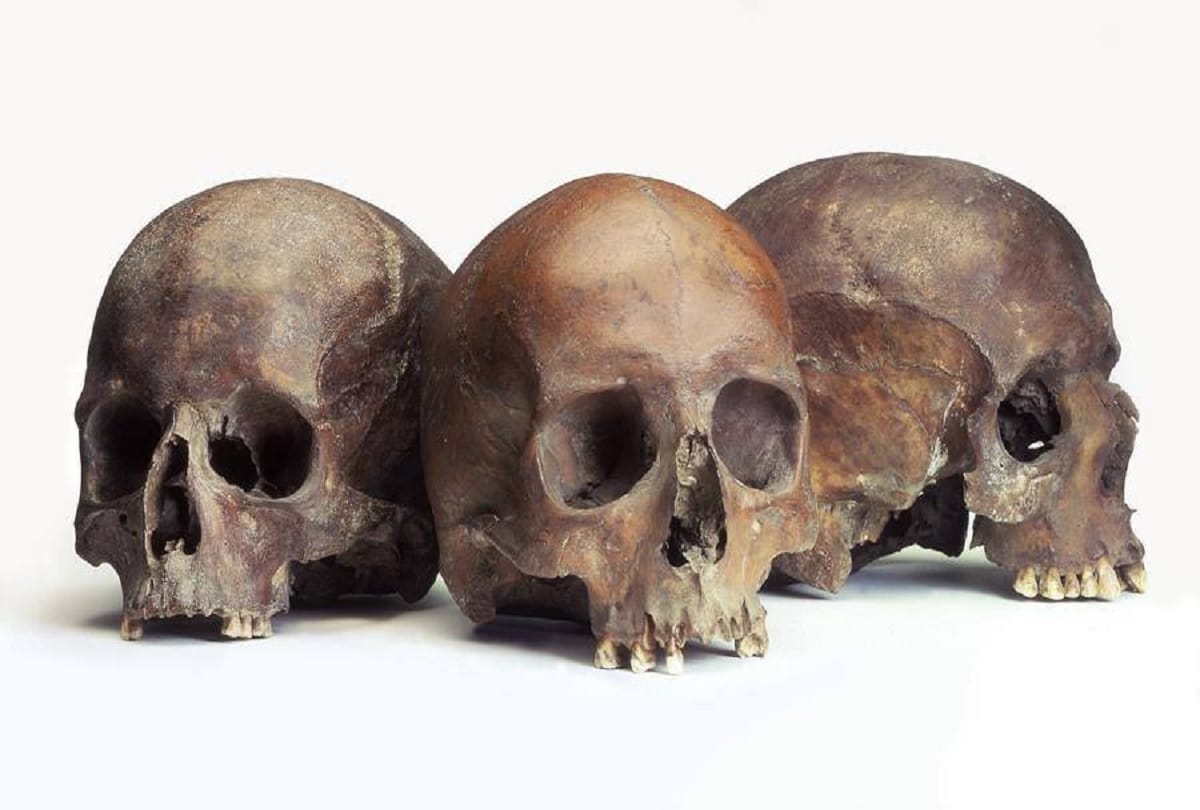 museum of london where very strange kind of treasure kept in its basement
