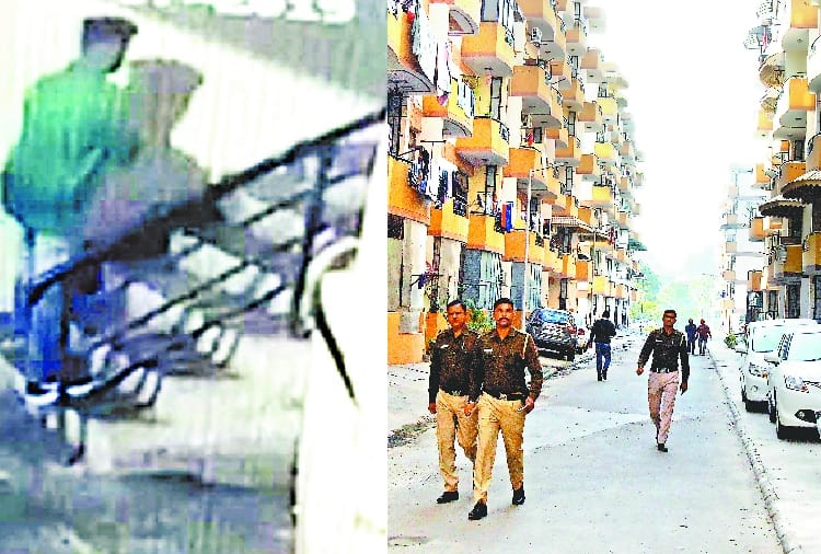 sunshine immigration owner has been looted on gunpoint