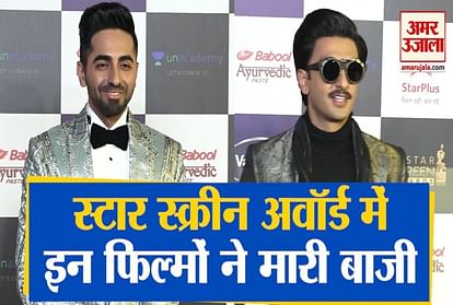star screen awards 2019 winners Article 15 Gully Boy Ayushmann Khurrana Ranveer Singh