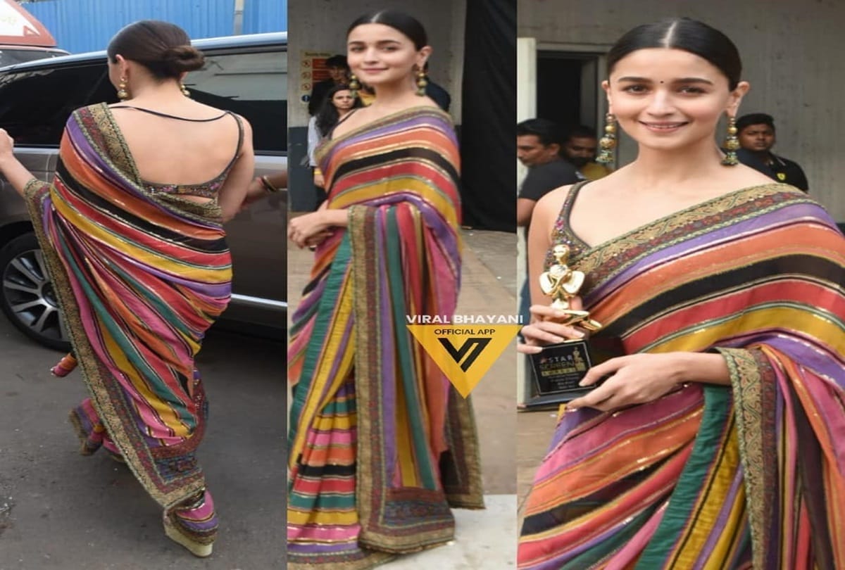 Star Screen Awards 2019  Ranveer Singh and Alia Bhatt Won Best Actors Award