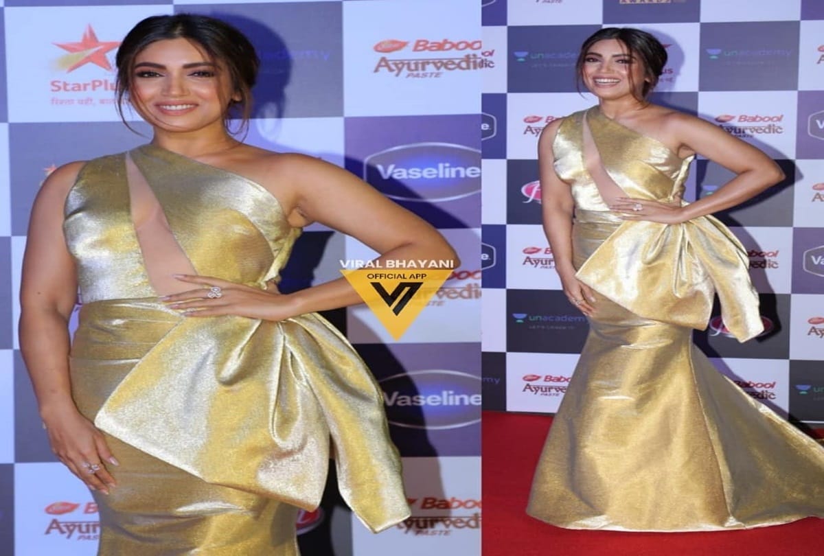 Star Screen Awards 2019  Ranveer Singh and Alia Bhatt Won Best Actors Award