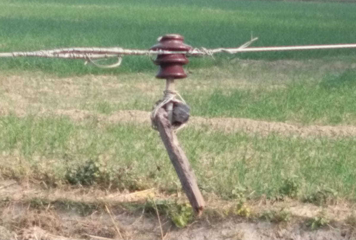 Farmer Dies Body Found Hanging on Electric Wire in Firozabad Jasrana