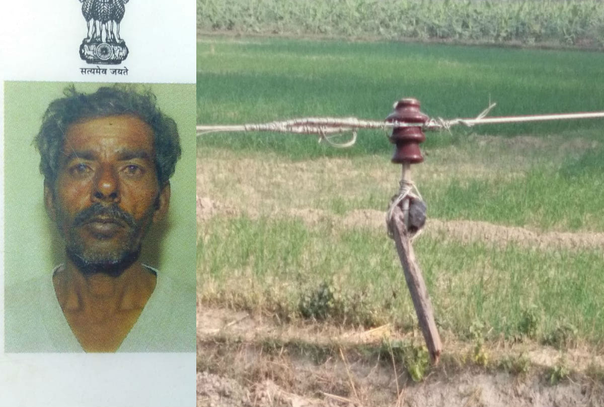 Farmer Dies Body Found Hanging on Electric Wire in Firozabad Jasrana