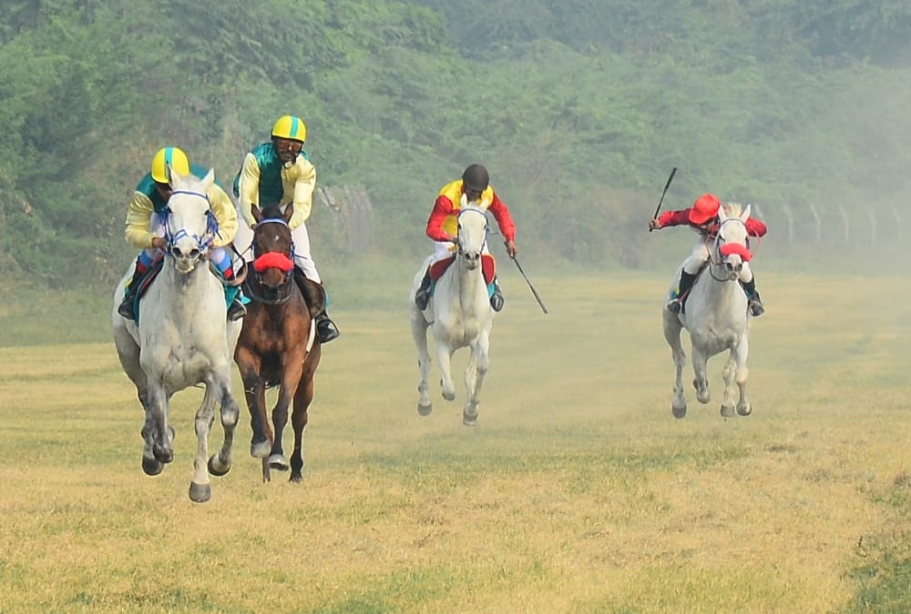 Horse race organized in Lucknow Racecourse.