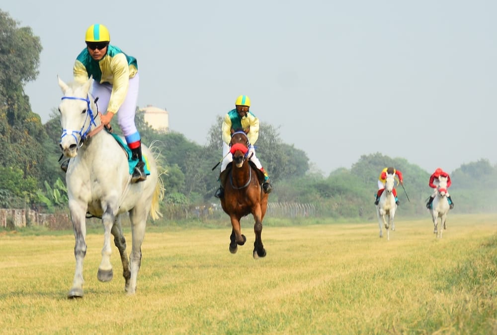Horse race organized in Lucknow Racecourse.