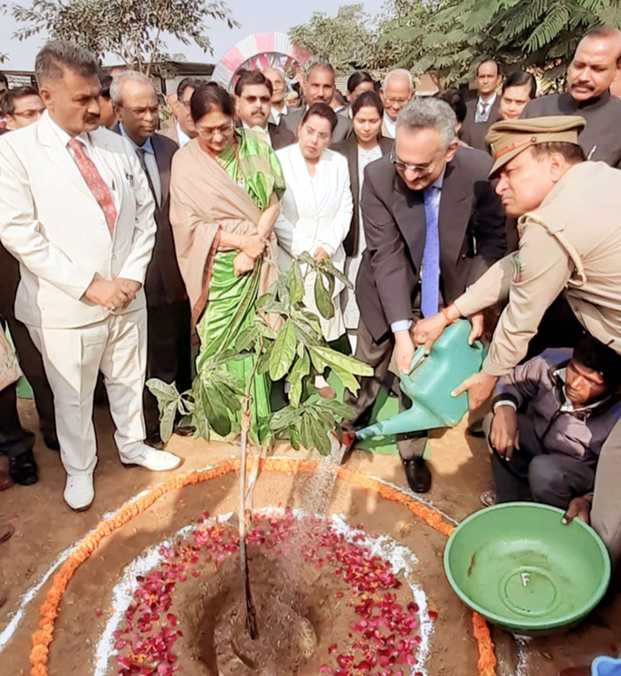 plantation, juj, highcourt, kasganj