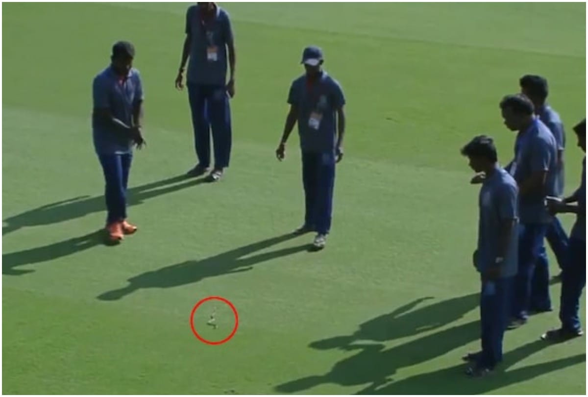 Watch Snake Stops Play In Ranji Trophy Cricket Match In Vijayawada