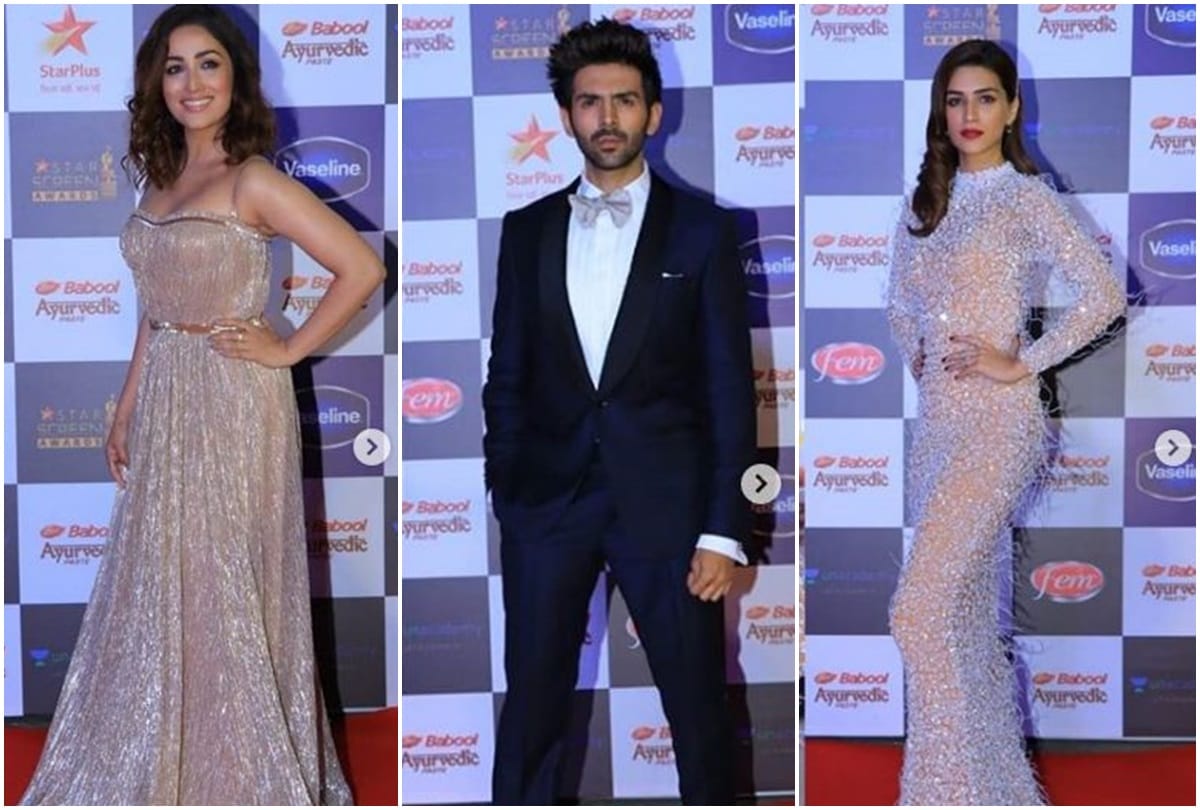 Star Screen Awards 2019  Ranveer Singh and Alia Bhatt Won Best Actors Award