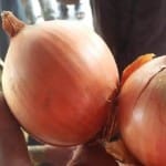 अफगानी प्याज