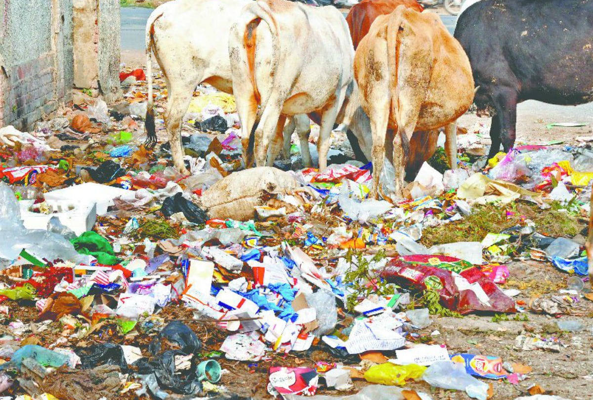 Two Years of Nagar Nigam Mayor Garbage dump in City