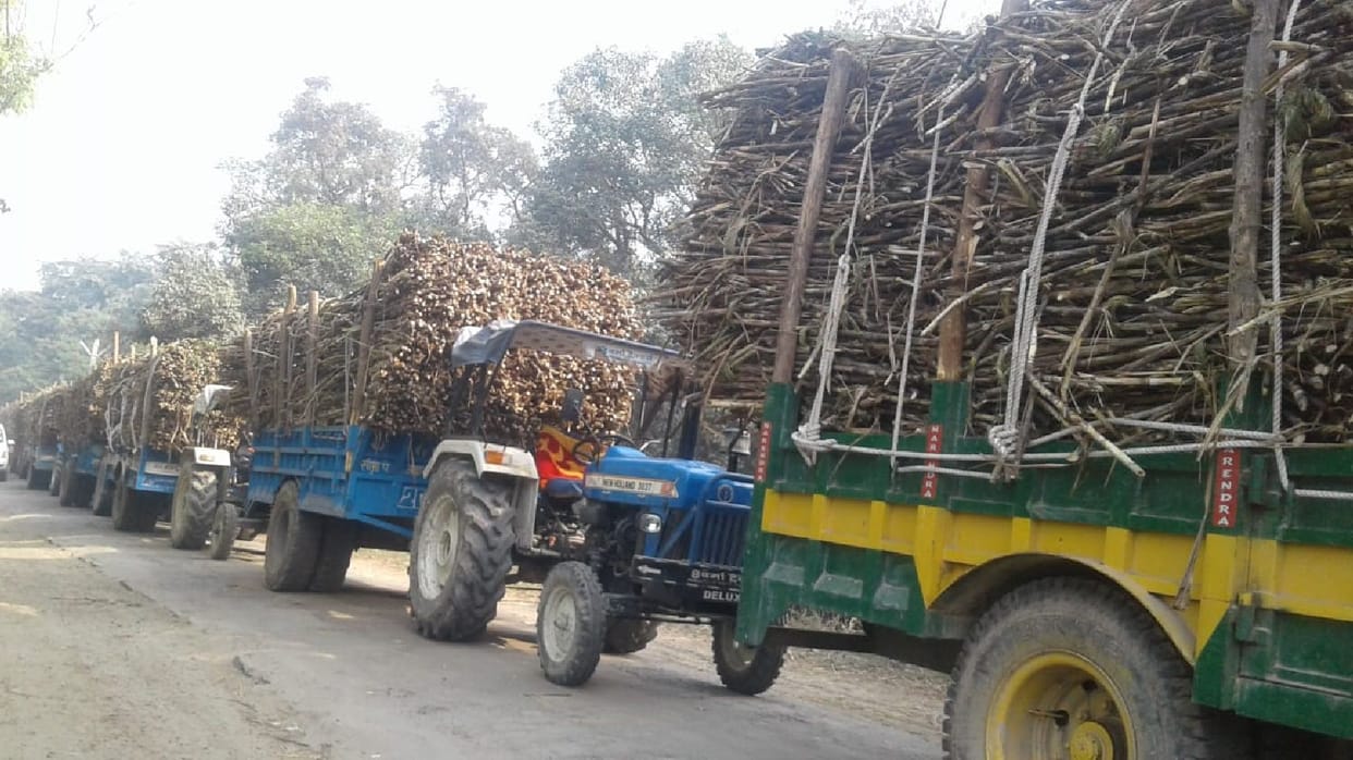 Sugarcane-laden tractor-trails jammed the highway