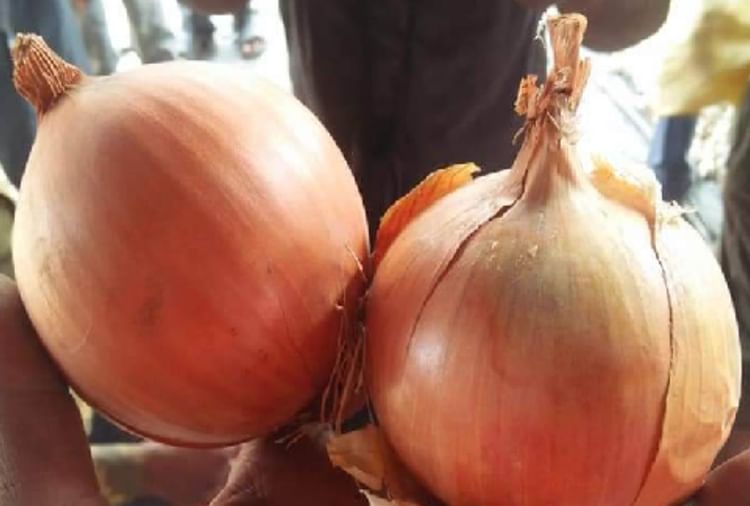 Onion Supply From Afghanistan In Lucknow Amar Ujala Hindi News Live